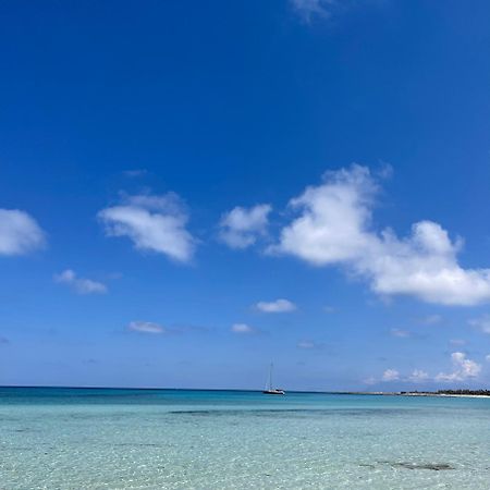 Fronte Mare Apartment ซานวิโต โลคาโป ภายนอก รูปภาพ